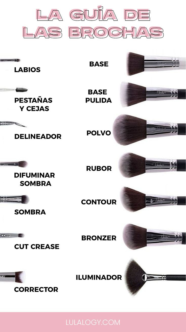 Guía Completa De Brochas De Maquillaje Marcas Destacadas Pelo Natural